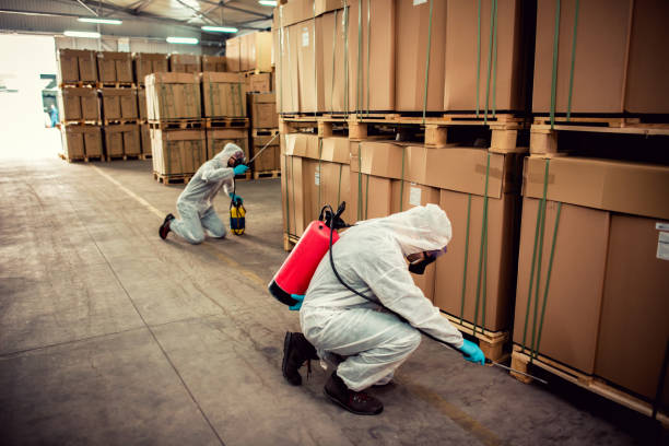 Best Wasp Removal Services  in Mbrian Park, CA