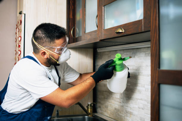 Professional Pest Control in Cambrian Park, CA