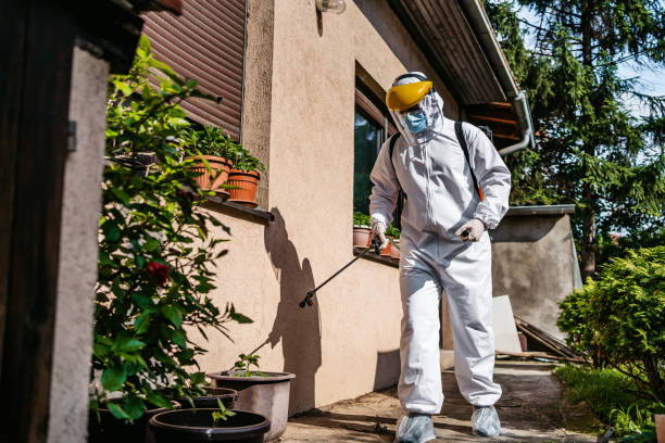 Best Rat Extermination Near Me  in Mbrian Park, CA