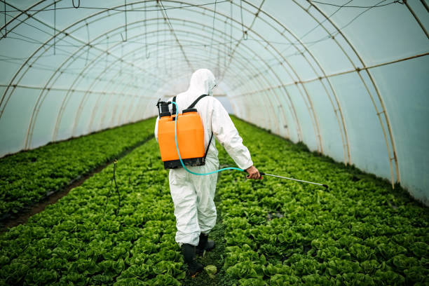 Best Best Pest Control Companies  in Mbrian Park, CA