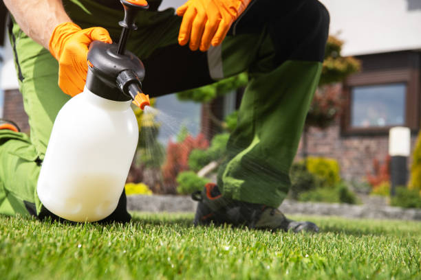 Best Termite Control Services  in Mbrian Park, CA