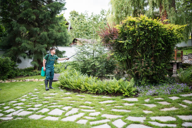 Best Ant Control Services  in Mbrian Park, CA