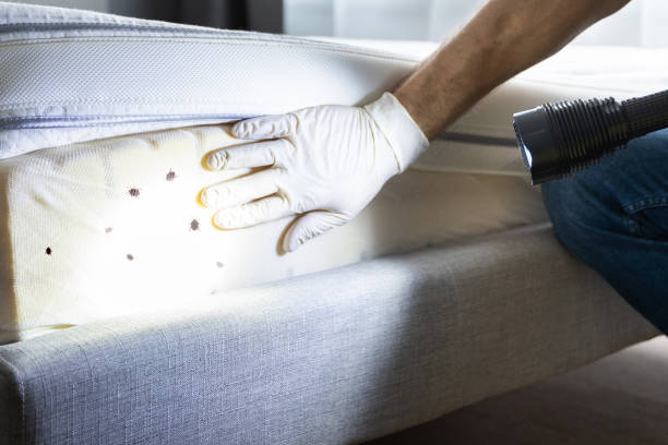 Best Pest Control for Homes  in Mbrian Park, CA