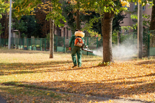 Best Cockroach Control Services  in Mbrian Park, CA
