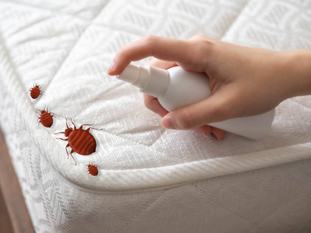 Best Mosquito Control Services  in Mbrian Park, CA