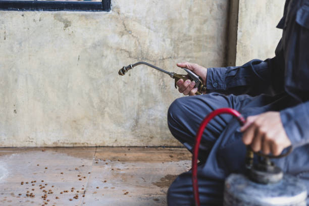 Best Affordable Pest Control Services  in Mbrian Park, CA
